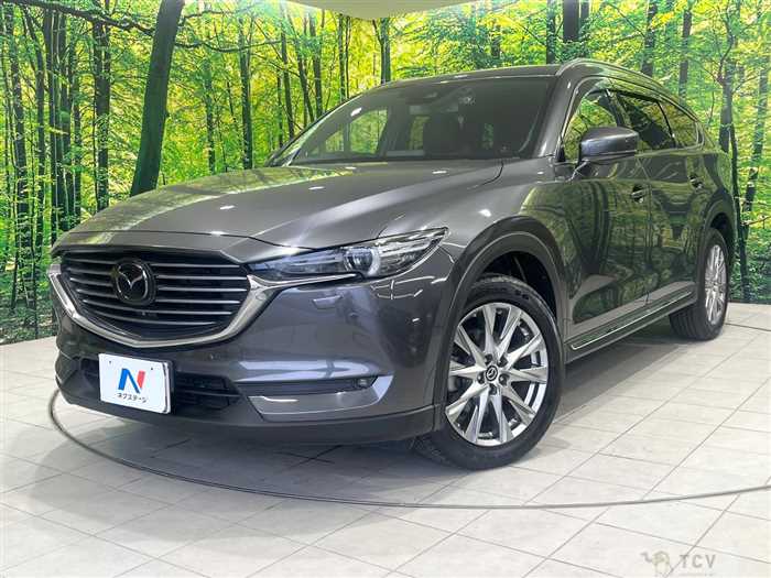 2018 Mazda CX-8