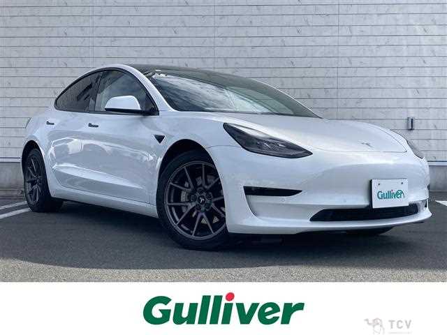 2021 Tesla Motors Others