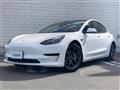 2021 Tesla Motors Others
