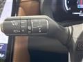2025 Lexus Other