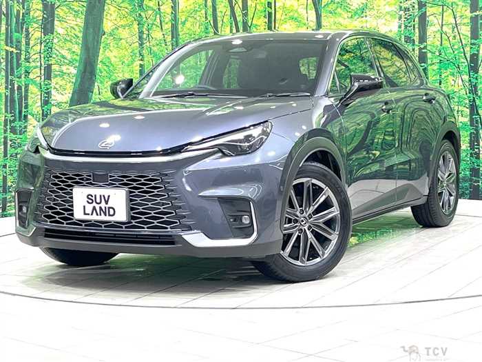 2024 Lexus Other