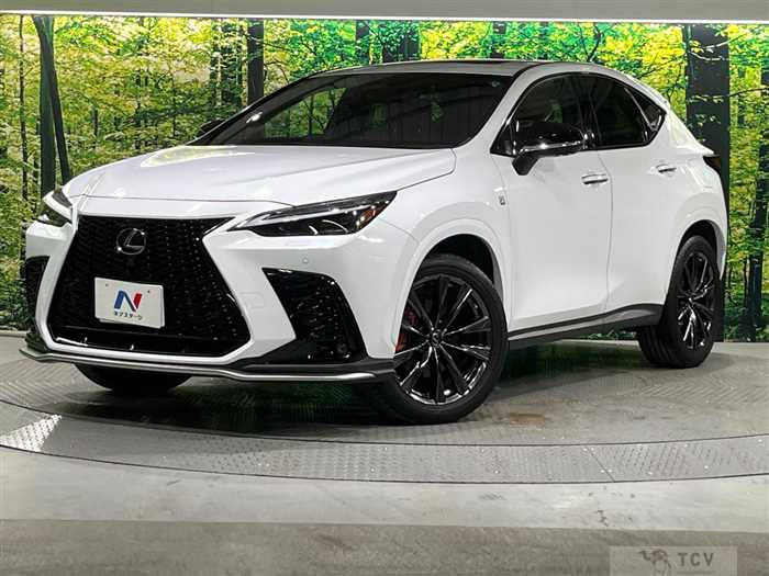 2022 Lexus NX