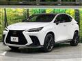 2022 Lexus NX
