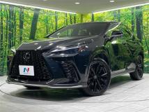 2025 Lexus NX