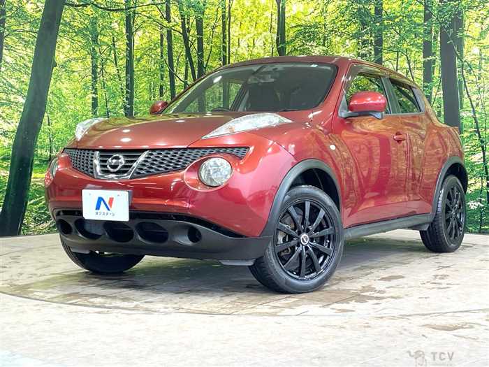 2010 Nissan Juke