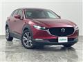 2020 Mazda CX-3