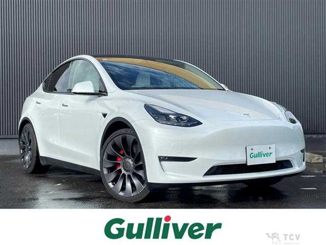 2023 Tesla Motors Others