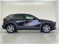 2023 Mazda CX-3