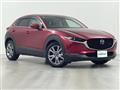 2019 Mazda CX-3