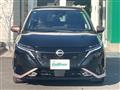 2021 Nissan Nissan Others