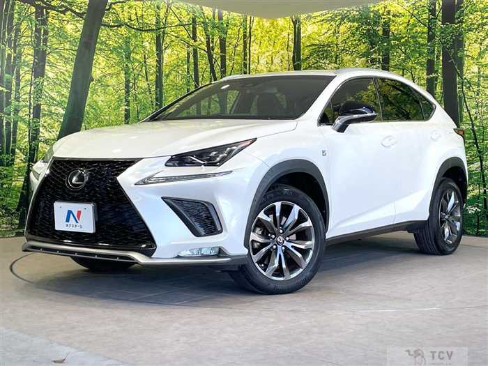 2017 Lexus NX