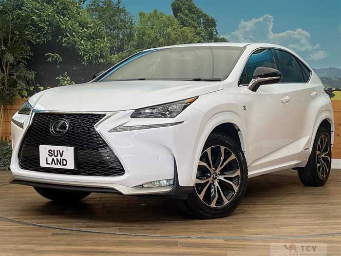 2016 Lexus NX