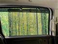 2020 Honda Freed
