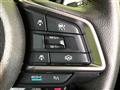 2025 Subaru Subaru Others