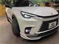 2025 Lexus Other