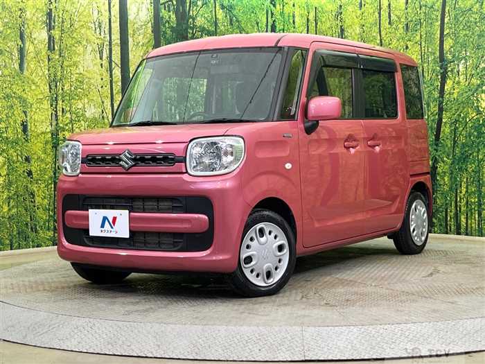 2019 Suzuki Spacia