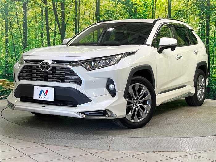 2019 Toyota RAV4