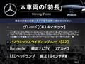 2019 AMG AMG Others