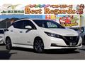 2019 Nissan Nissan Others