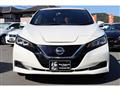 2019 Nissan Nissan Others