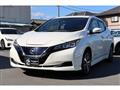 2019 Nissan Nissan Others