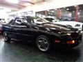 1991 Isuzu Pa Nero