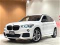 2019 BMW X1