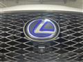 2020 Lexus RX