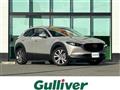 2021 Mazda CX-3