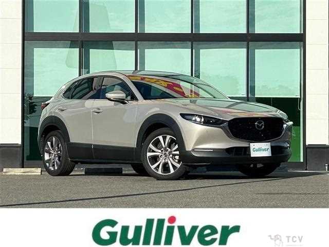 2021 Mazda CX-3