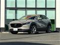 2021 Mazda CX-3