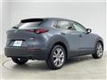 2019 Mazda CX-3
