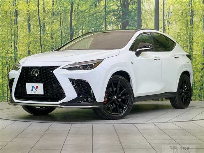 2024 Lexus NX