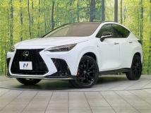 2024 Lexus NX