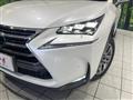 2014 Lexus NX