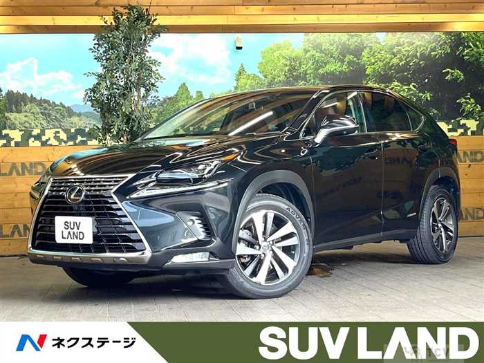 2017 Lexus NX