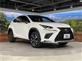 2017 Lexus NX