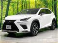 2019 Lexus NX