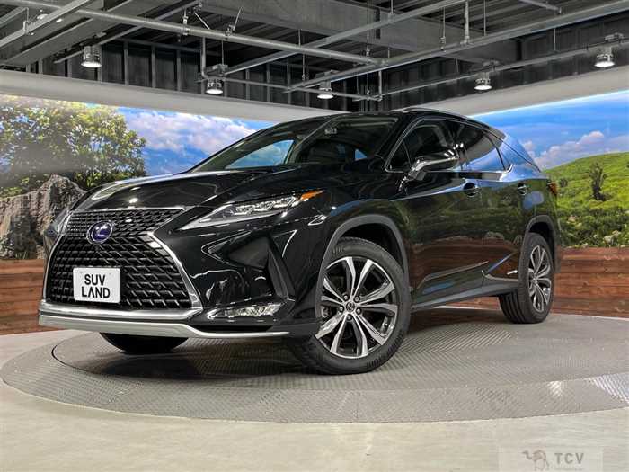 2019 Lexus RX