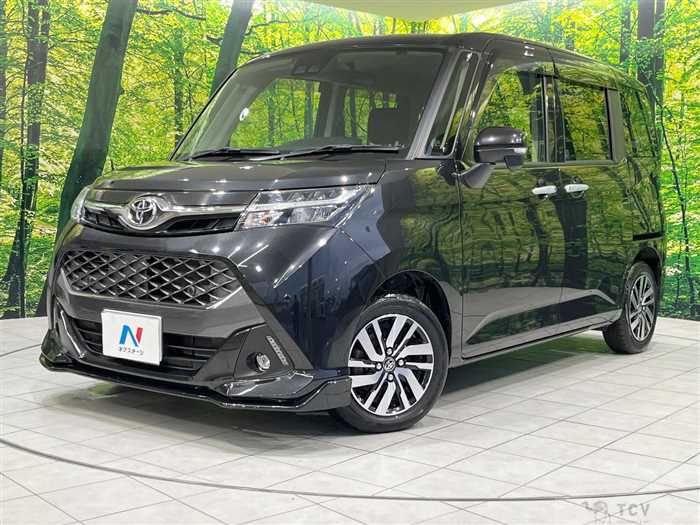 2019 Toyota Tank