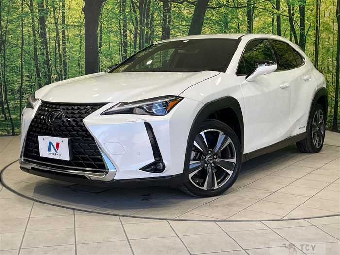 2019 Lexus Other