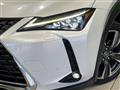 2019 Lexus Other