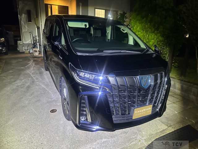2020 Toyota Alphard G