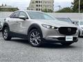 2022 Mazda CX-3