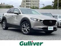 2022 Mazda CX-3