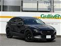 2021 Mazda CX-3