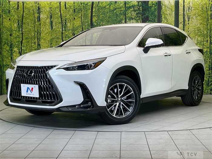 2024 Lexus NX