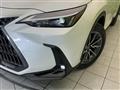 2024 Lexus NX
