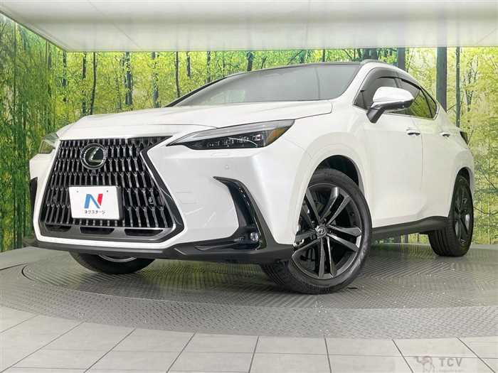 2025 Lexus NX