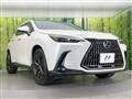 2025 Lexus NX